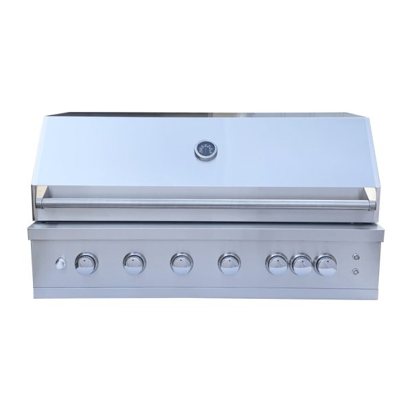 Outdoor Cooking Stainless Steel 6 Burner BBQ Gas Grill Built-in Propane/Natural Gas