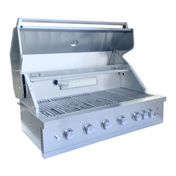 Outdoor Cooking Stainless Steel 6 Burner BBQ Gas Grill Built-in Propane/Natural Gas